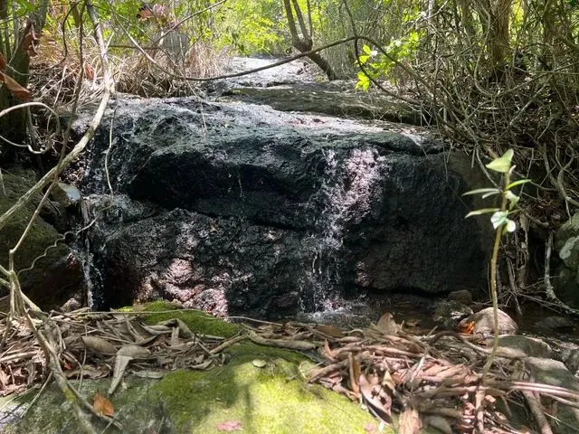 Imagem 14: Vendo Terreno Escriturado