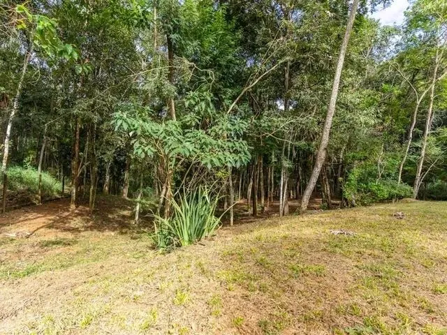 Imagem 4: Casa com 4 Dormitórios para Alugar em Nova Lima