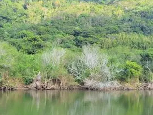 Imagem 6: Casa no Rio Vermelho - para Locação