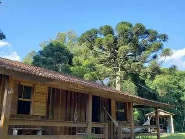 Imagem: Chácara Entre Caxias do Sul e Flores da