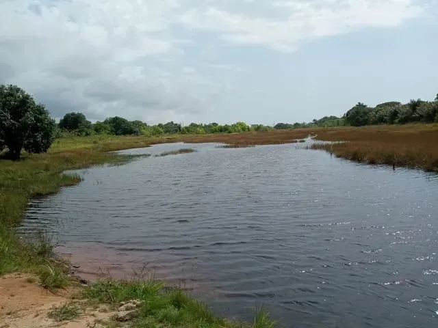 Imagem 10: Vendo Casa Condomínio em Barra do Jacuipe