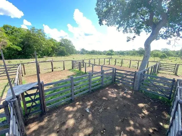 Imagem: Fazenda 420 Alqueires Ou 2.032,80 Hectares