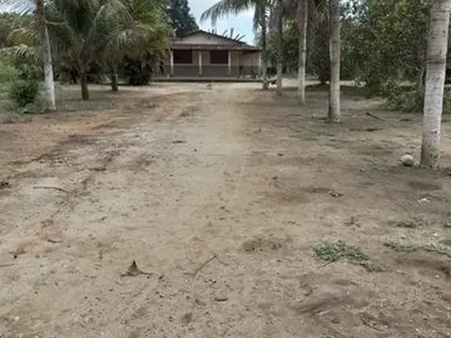 Imagem: Sítio em Aldeia (Macaíba Pintada
