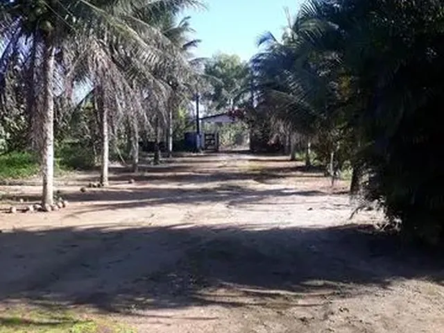 Imagem 2: Sítio em Aldeia (Macaíba Pintada