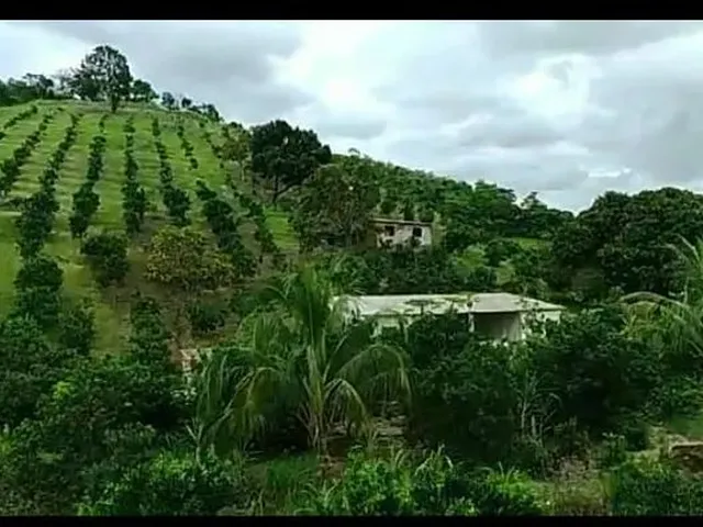 Imagem: Sitio em Itaborai