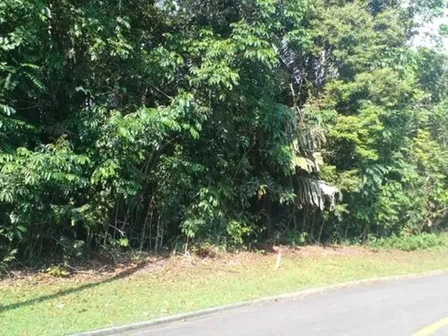 Imagem: Terreno em Manaus