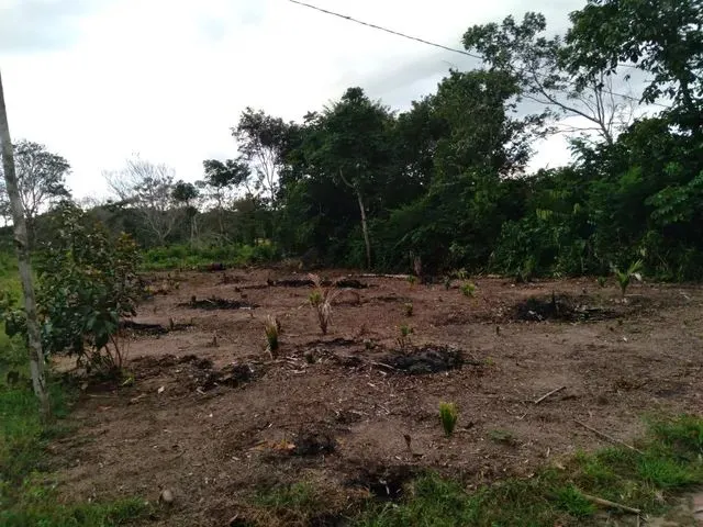 Imagem: Terreno 16X40