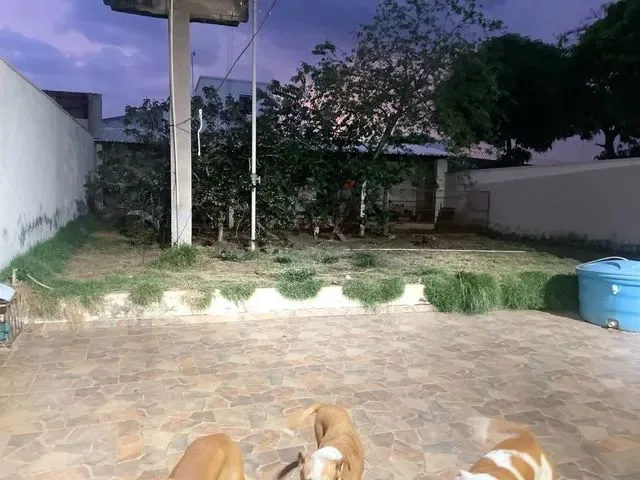 Imagem 10: Vende-Se Uma Casa Jardim Primavera
