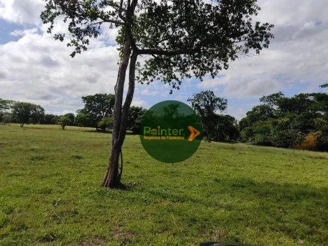 Imagem: Fazenda com 2 Dormitórios À Venda, 2100000