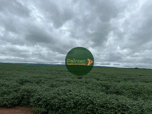 Imagem: Fazenda com 3 Dormitórios À Venda, 350000