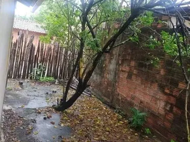 Imagem 3: Casa Boa e Barata - Carutapera-Maranhão