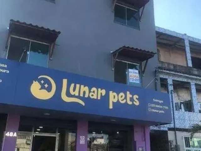 Imagem: Apartamento com 2 Quartos para Alugar, 45
