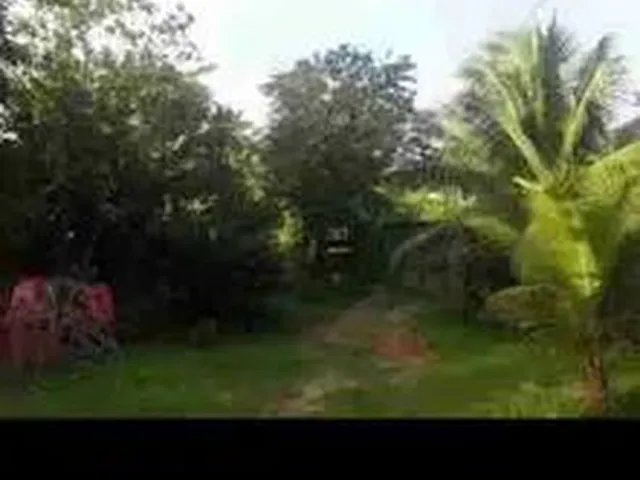 Imagem: Sitio com Casa e Piscina Mil Metro Quadrado