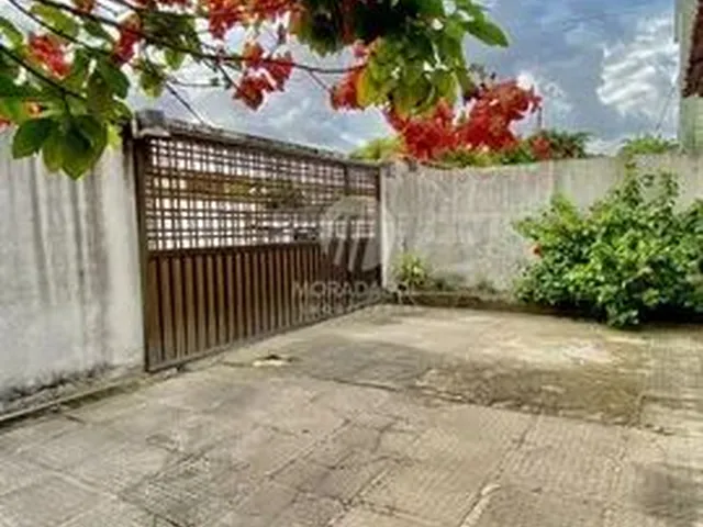 Imagem 8: .