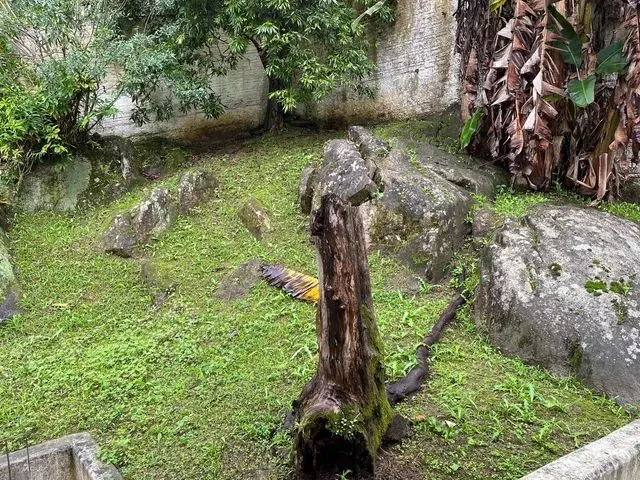 Imagem 6: Casa Itacorubi 8 Quartos (Oportunidade!