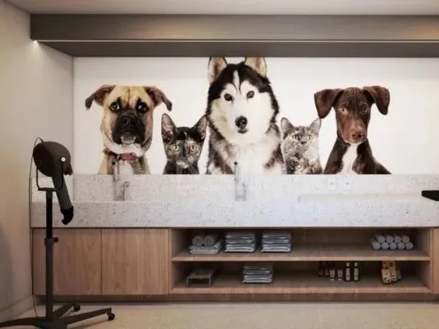 Imagem 5: Apartamento em Nossa Senhora das Graças