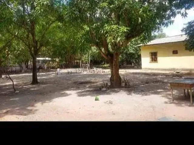 Imagem: Alugo Chácara com Casa com 3 Quartos !