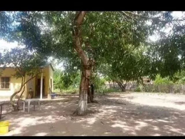 Imagem 3: Alugo Chácara com Casa com 3 Quartos !