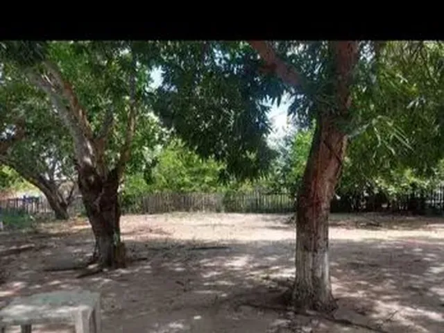 Imagem 2: Alugo Chácara com Casa com 3 Quartos !