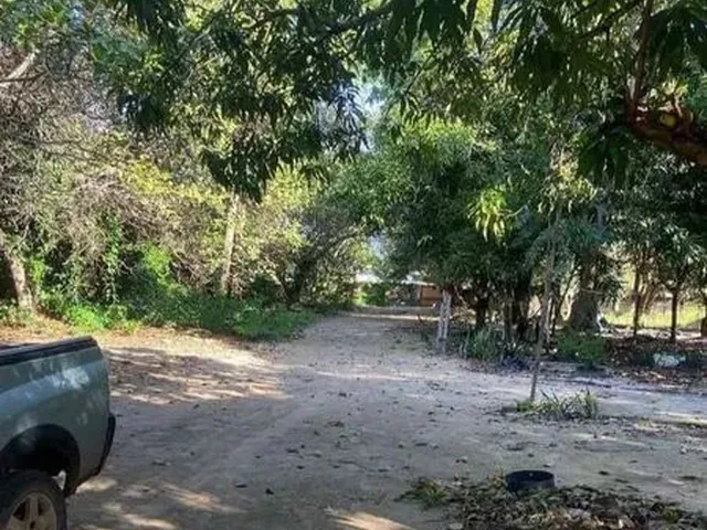 Imagem 5: Alugo Chácara com Casa com 3 Quartos !