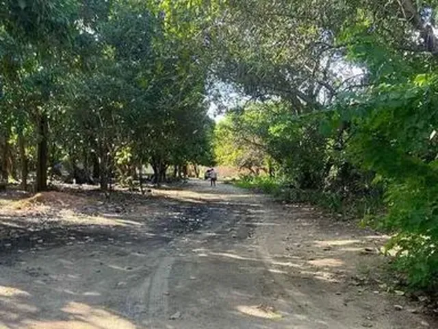 Imagem 4: Alugo Chácara com Casa com 3 Quartos !