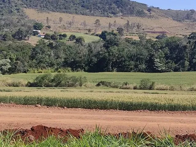 Imagem 7: Vendo Lote de Chácaras Recanto das Araucárias