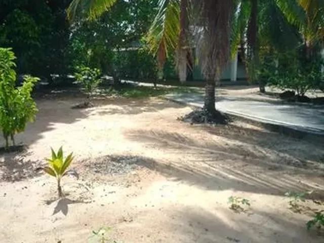 Imagem 12: Casa Chácara Casa com 3 dormitórios