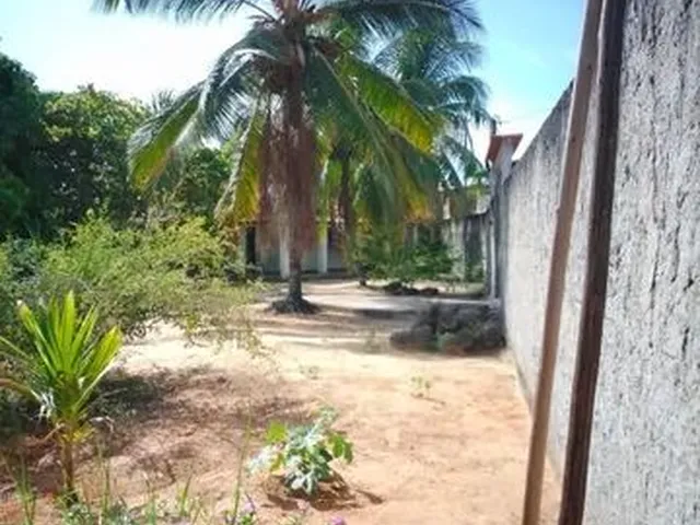 Imagem 8: Casa Chácara Casa com 3 dormitórios