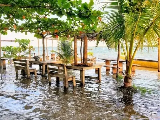 Imagem 5: Casa Chácara Casa com 3 dormitórios