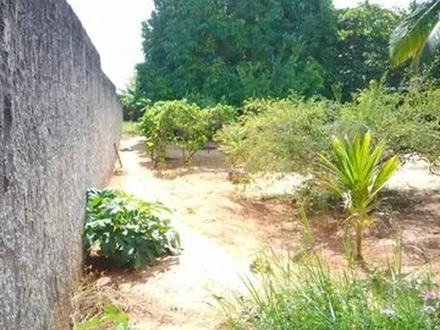 Imagem 3: Casa Chácara Casa com 3 dormitórios