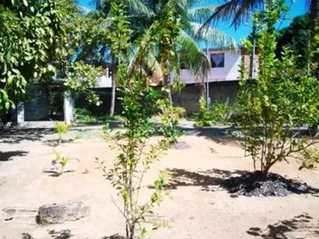 Imagem 6: Casa Chácara Casa com 3 dormitórios
