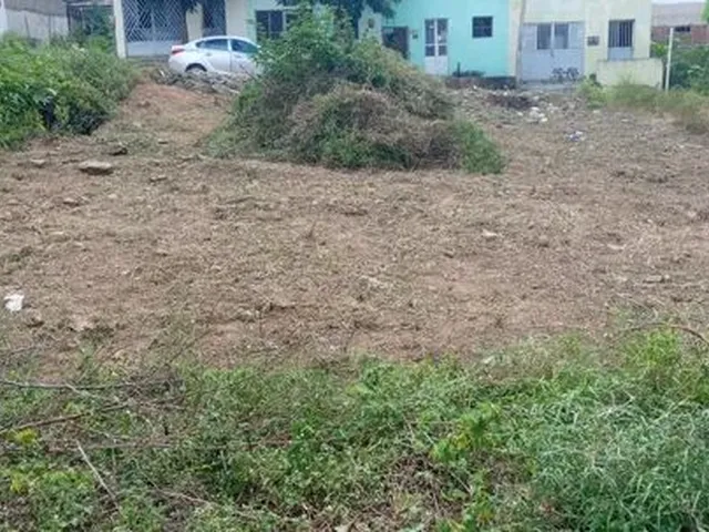 Imagem: Terrenos no Bairro Deus É Fiel em Toritama
