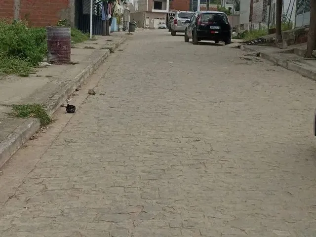 Imagem 2: Terrenos no Bairro Deus É Fiel em Toritama