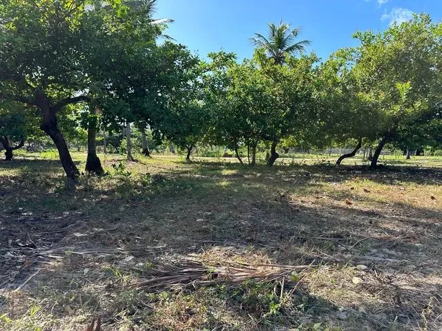 Imagem: Terreno no Icaraizinho de Amontada