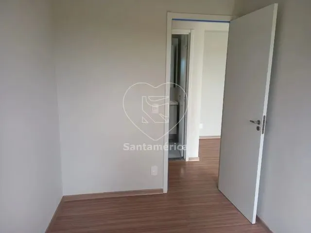 Imagem 5: Londrina - Padrão - Conjunto Vivi Xavier