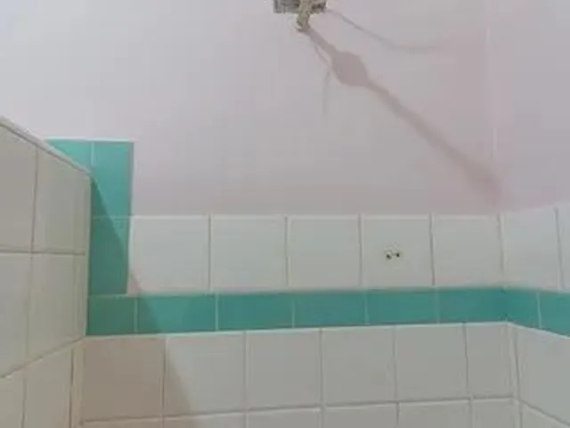 Imagem 8: Casa para Aluguel - Hauer, 2 Quartos, 95 M2
