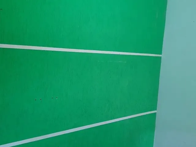 Imagem 7: Casa Dois Quartos e Amplo Quintal!