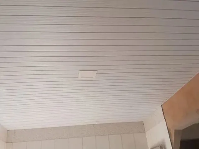 Imagem 5: Vendo Casa com Piscina Canto dos Pássaros
