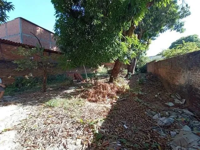 Imagem 10: R. Quatorze - Bairro: Parque Piauí - Timon - Ma