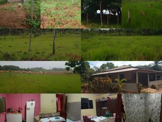 Imagem: Vendo Sítio de 58 Hectares
