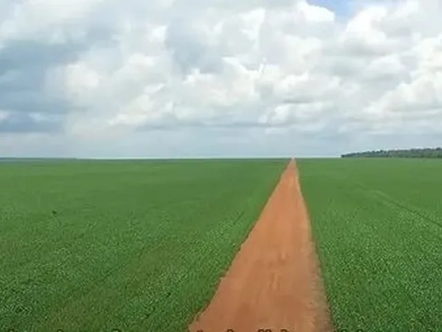 Imagem 2: Fazenda de 80.090 Hectares em Paranatinga-Mt