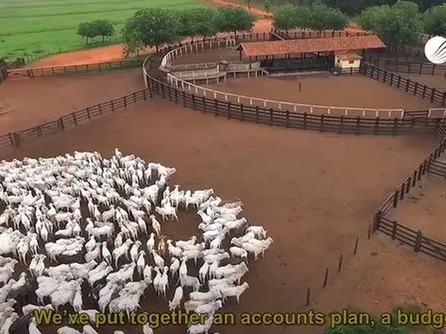 Imagem 8: Fazenda de 80.090 Hectares em Paranatinga-Mt