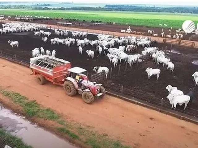 Imagem 7: Fazenda de 80.090 Hectares em Paranatinga-Mt