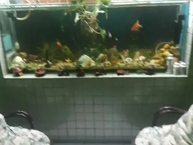 Imagem 12: Casa Grande na Iputinga Mas 7 Pontos