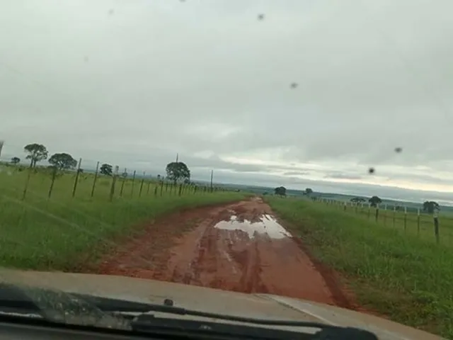 Imagem 13: Compro Sítio em Londrina Pr Até 7.5 Milhões