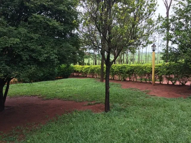 Imagem 9: Compro Sítio em Londrina Pr Até 7.5 Milhões
