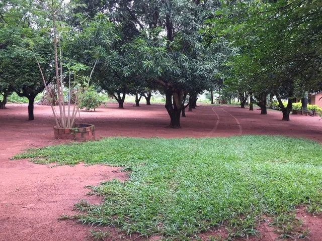 Imagem 3: Compro Sítio em Londrina Pr Até 7.5 Milhões
