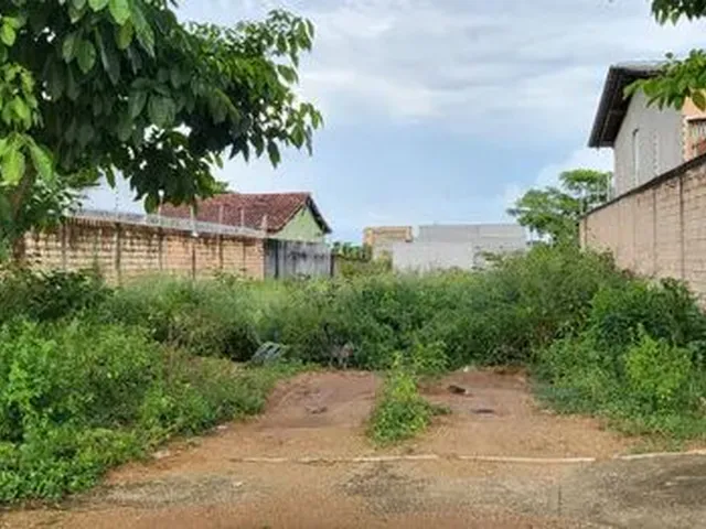 Imagem: Terreno Cidade Universitaria