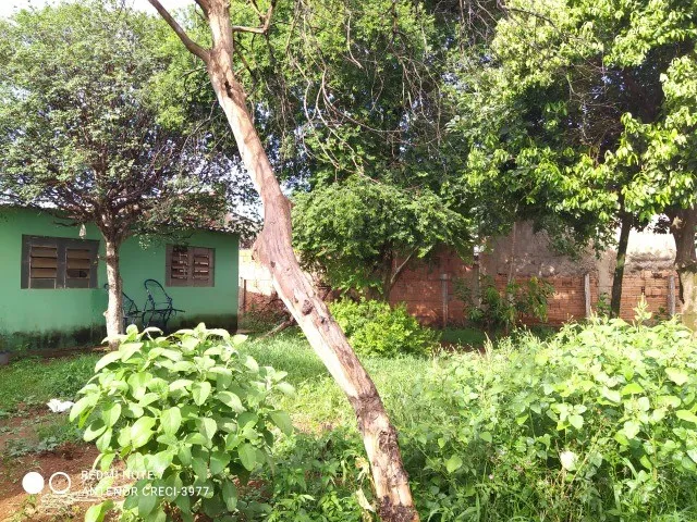 Imagem 10: Baixouuu! Imovel de Oportunidade 3 Quartos, Terreno Amplo! R$ 145 Mil