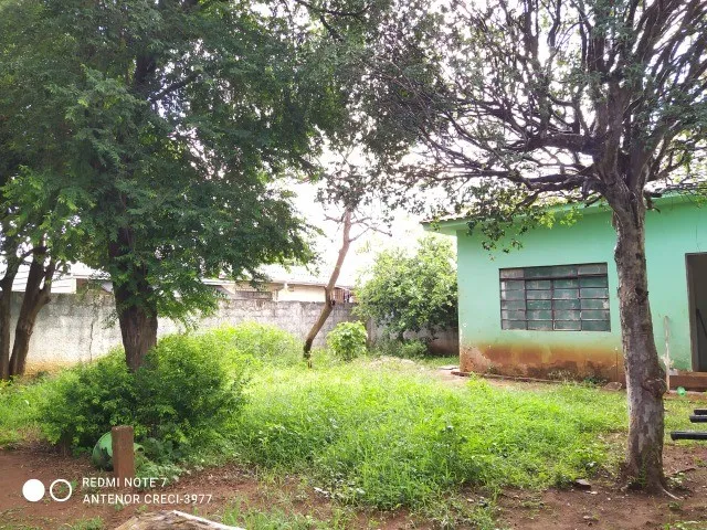 Imagem 11: Baixouuu! Imovel de Oportunidade 3 Quartos, Terreno Amplo! R$ 145 Mil